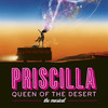 Priscilla Queen of the Desert at Sheas Performing Arts Center Priscilla Queen of the Desert at Sheas Performing Arts Center