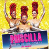 Priscilla Queen of the Desert at Sheas Performing Arts Center