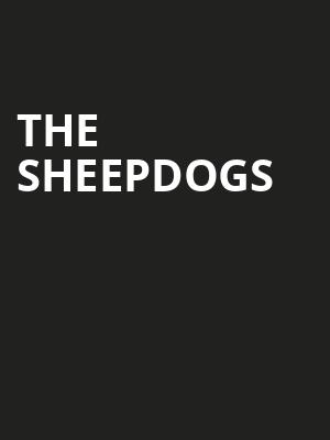The Sheepdogs, Town Ballroom, Buffalo