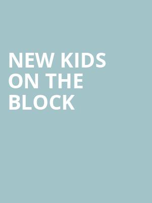New Kids On The Block, Darien Lake Performing Arts Center, Buffalo