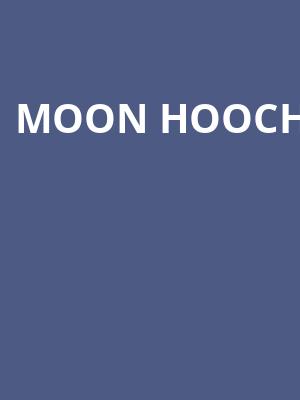 Moon Hooch Poster