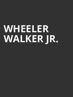 Wheeler Walker Jr, Town Ballroom, Buffalo