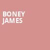 Boney James, Kleinhans Music Hall, Buffalo