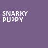 Snarky Puppy, Town Ballroom, Buffalo