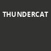 Thundercat, Buffalo RiverWorks, Buffalo