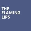 The Flaming Lips, Artpark Amphitheatre, Buffalo